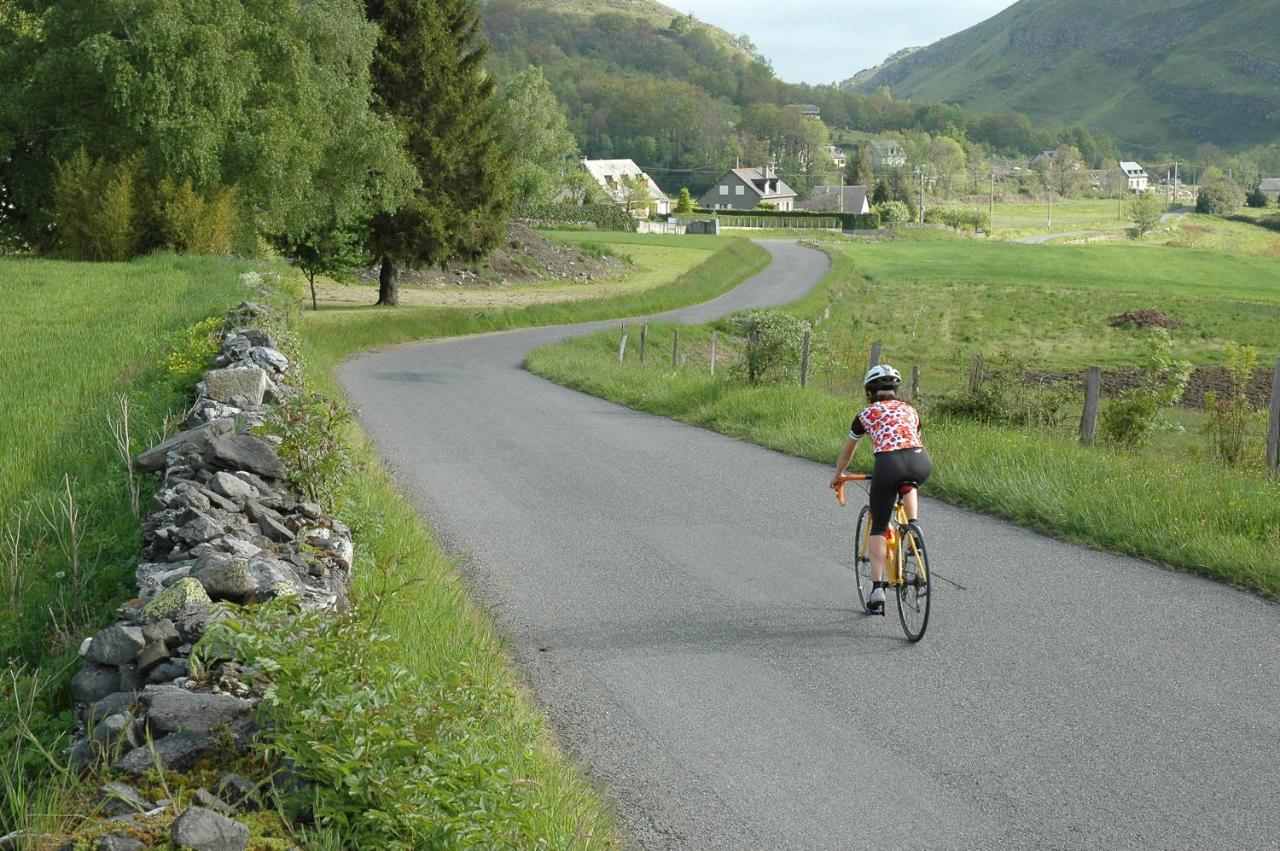 Au Primerose Hotel Argelès-Gazost Eksteriør billede